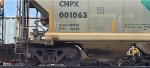 CNPX 1063